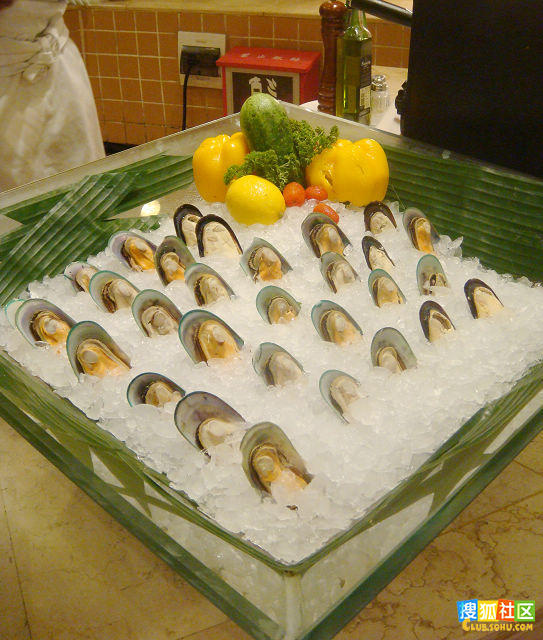 		��¡�Ƶ꡶���Ǽ�����ʽ������[26P] - �⳾ѩ�� - �裬Խ��Խ��Ĭ