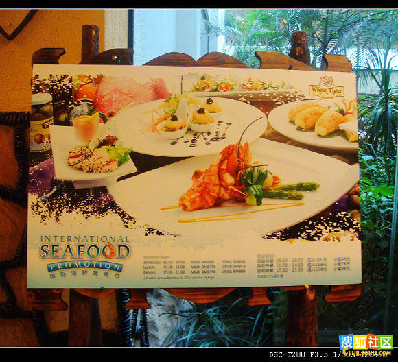 		��¡�Ƶ꡶���Ǽ�����ʽ������[26P] - �⳾ѩ�� - �裬Խ��Խ��Ĭ