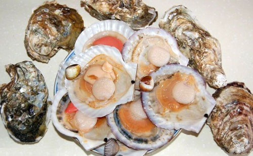 		&ldquo;���&rdquo;ʢ�� ��һ���Ʒλ[7P] - �� - ��֮��