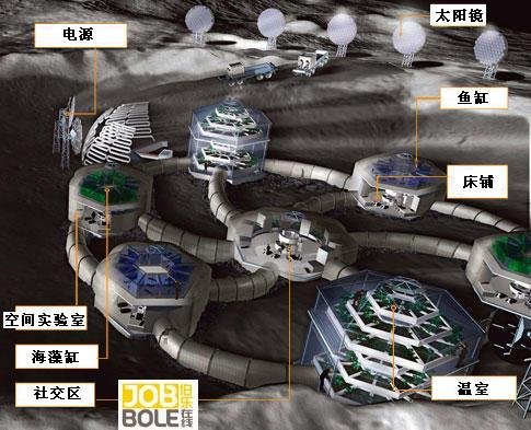 你的职业新选择! 未来最好的10种工作(图)