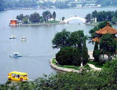 ��̶����