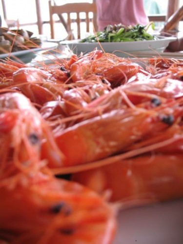 ����2Сʱ����Ȧ��������֮��