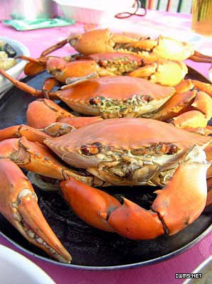 ����2Сʱ����Ȧ��������֮��