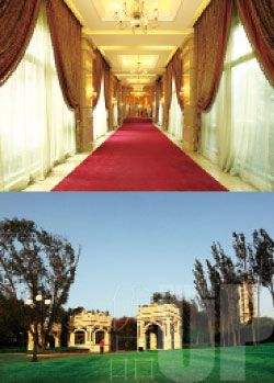 9����Ԣ������������ɯʹ�����Ķ�����լ��