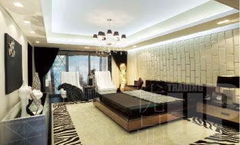 Ϊ���ߴ�����һ���鶯���ʵ���������