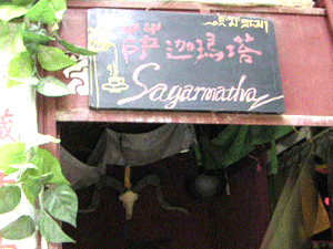 �����ư��Ƽ�������������Ծư�