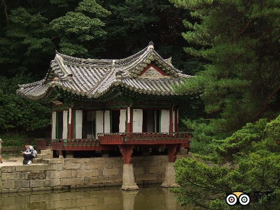 �׶����þƵ���Ƭ