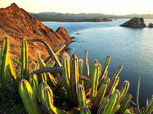 �̵�ȫ��ʮ����ʳ�ߵ����� - ���������� - ����������