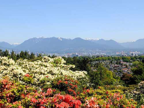 �̵�ȫ��ʮ����ʳ�ߵ����� - ���������� - ����������