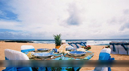 Macaroni Beach�ϵ�Ұ��