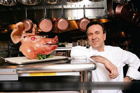 ���Louis Pous�����˽������