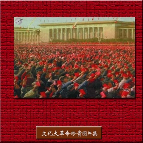     ѵһĸͼƬ1 - tallman - tallmanyet Ĳ