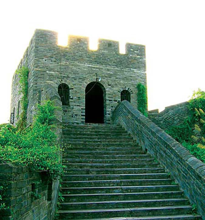 �й��Ŵ���ǽ��ȫ���У� - ���Ǹɱ��� - 