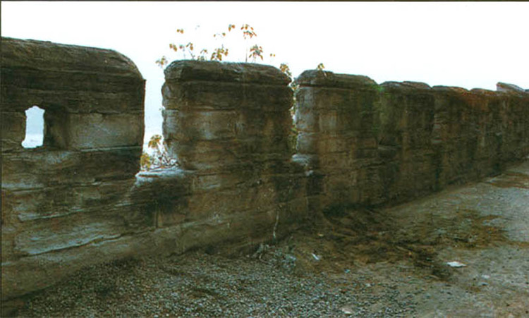 �й��Ŵ���ǽ��ȫ���У� - ���Ǹɱ��� - 