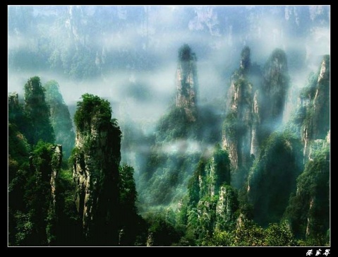 μƻ - Vespasion - κ͵Ӱ