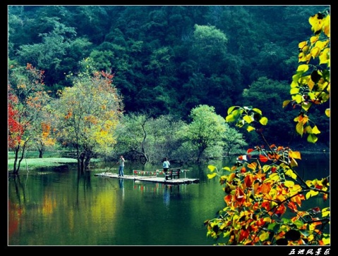 �㽭���ι��ԣ�һ�� - Vespasion - ���κ͵�Ӱ