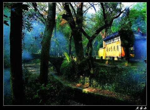 �㽭���ι��ԣ�һ�� - Vespasion - ���κ͵�Ӱ