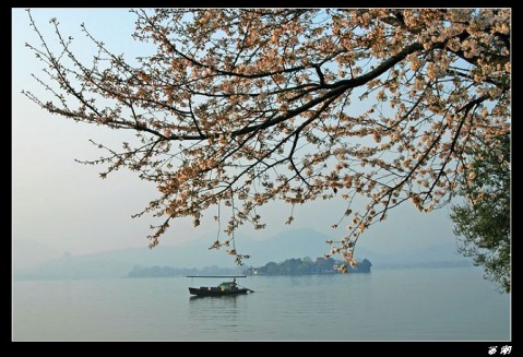 �㽭���ι��ԣ�һ�� - Vespasion - ���κ͵�Ӱ