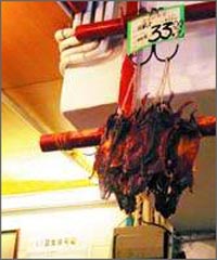 �л�ʮ��ֳ�(��ͼ) - ������ - ������ҫ�л�