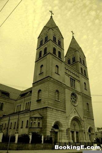 ʥ��ƽ��ҹ ȫ��������10������