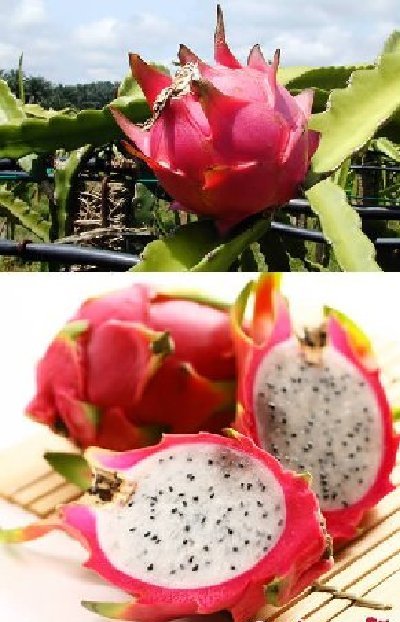 �̵���������е�10������ˮ�� 