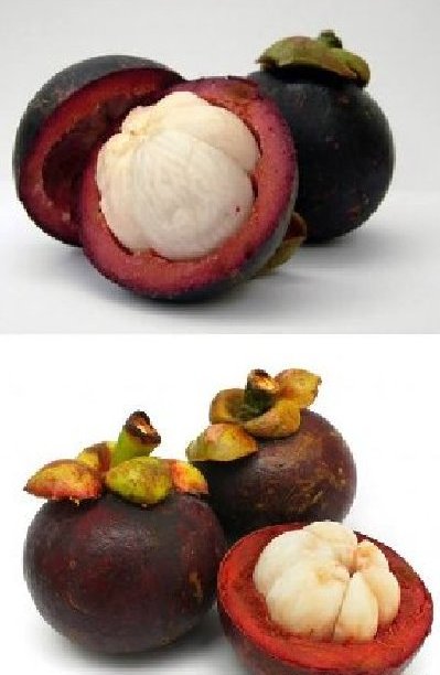 �̵���������е�10������ˮ�� 