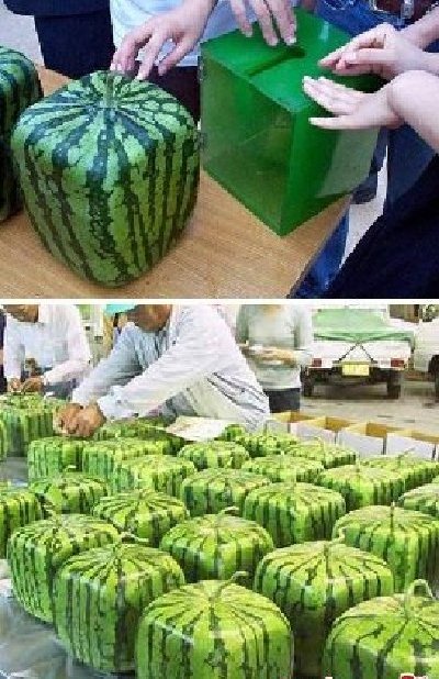 �̵���������е�10������ˮ�� 