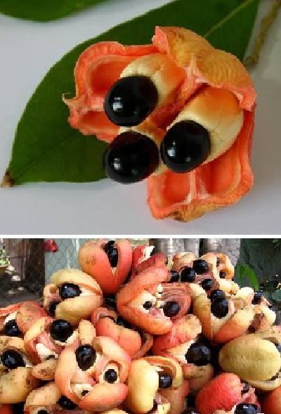 �̵���������е�10������ˮ�� 