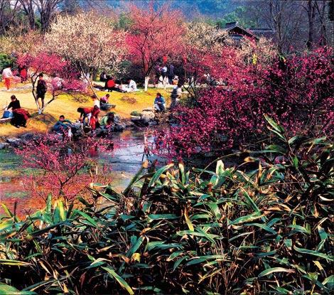 天堂怎可只停泊一次