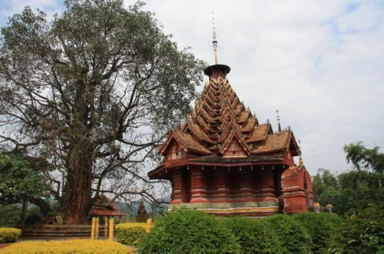 ��˫����