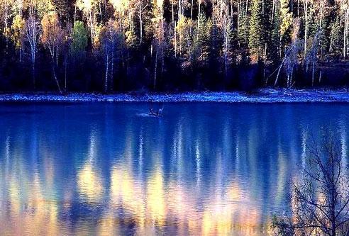 ���˶���