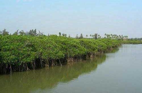 �ȼ�ʤ�� �й������İ˴󺣰���