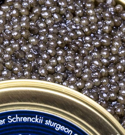 ���ӽ�&mdash;&mdash;�߼�ʳ���е�&ldquo;������&rdquo;