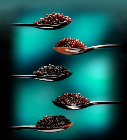 ���ӽ�����47�ֿ����ʺͿ�����