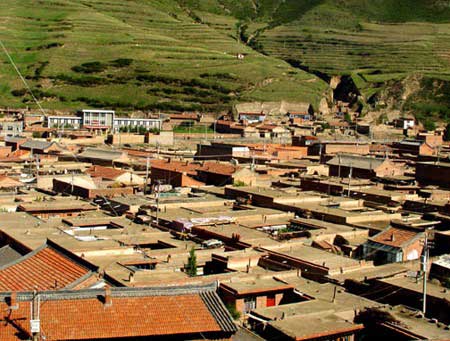 �����ĺ���