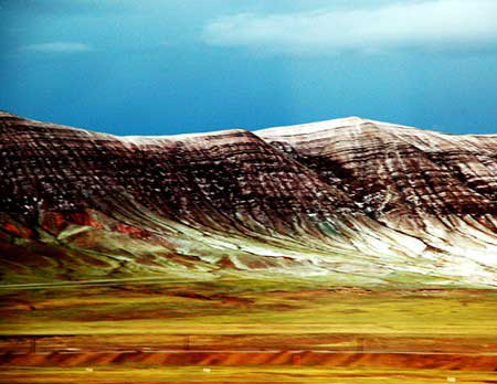 �ɿ�����