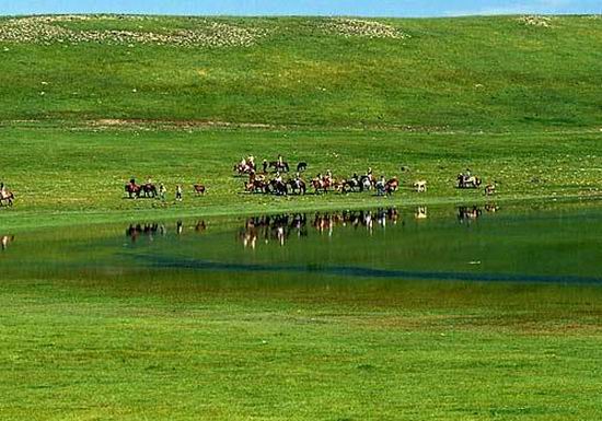 ��Ʒ������