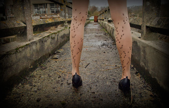 ��Ʒ������