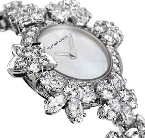 ����֮�� ����ű��鱦���