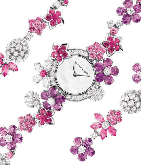 ����֮�� ����ű��鱦���