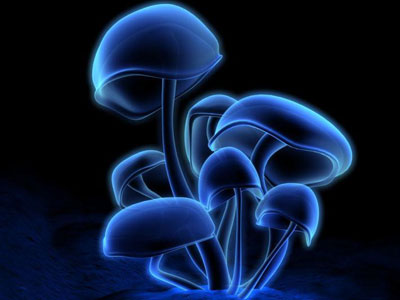 Ʒ