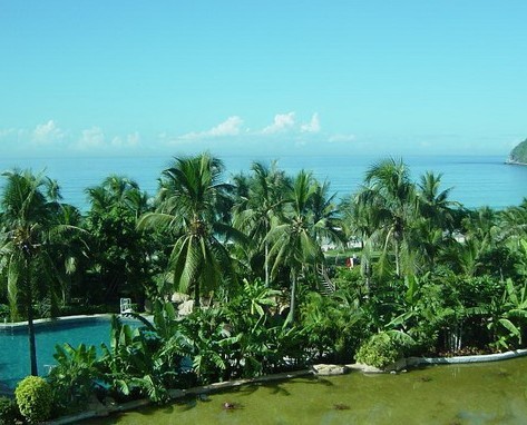 ���ð�ľ�ɫ