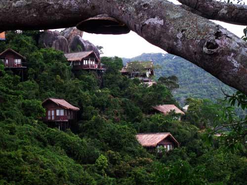 ��Զ�������Ǹ��Ǹ�����俵İ���