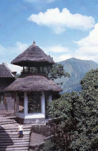 ��Ʒ������