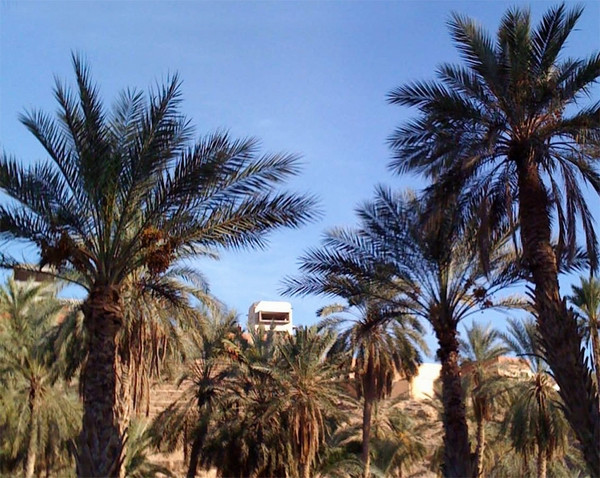 ��Ʒ������