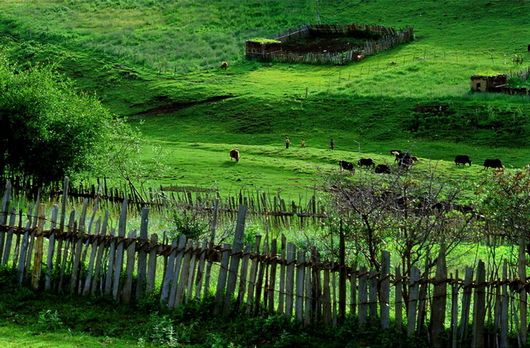 ��Ʒ������