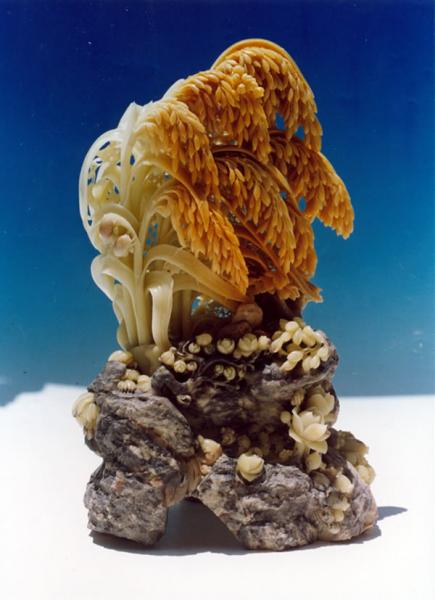 ��Ʒ������