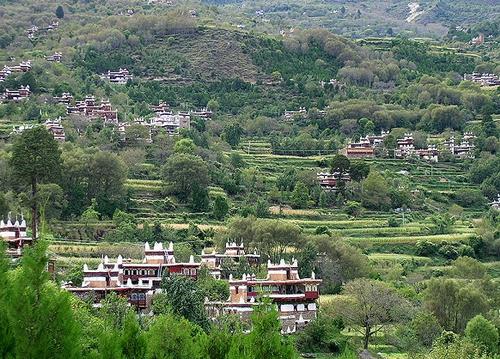 ��Ʒ������