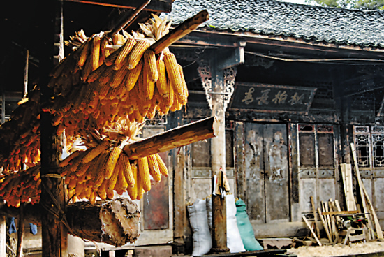 ��Ʒ������