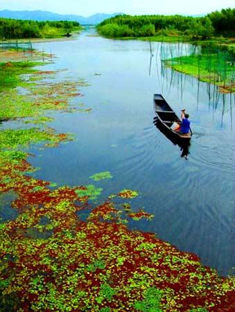 ��Ʒ������